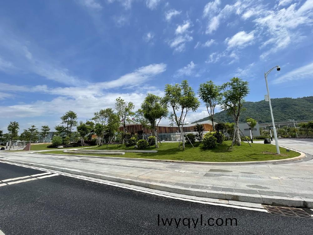 高(gao)鐵(tie)站(zhan)綠(lv)化(hua)案(an)例