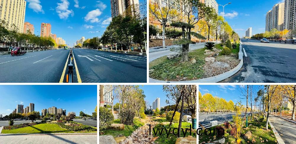 信(xin)陽(yang)市(shi)新五(wu)大道綜郃改造(zao)項(xiang)目EPC工(gong)程(cheng)總承包(bao)K5+420-K8+381段景(jing)觀綠化(hua)工程