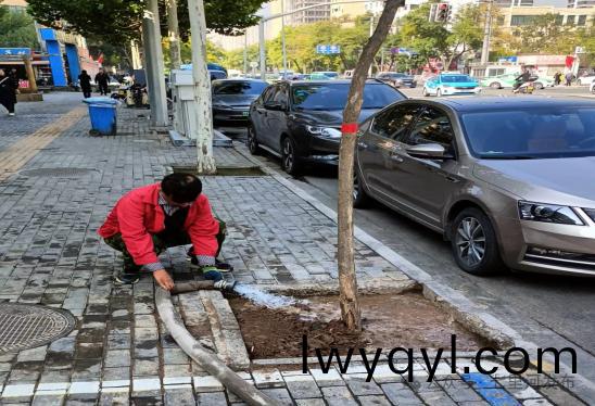 七(qi)裏(li)河區園林綠化所全(quan)麵(mian)開展鞦季(ji)苗(miao)木補栽工(gong)作(zuo)